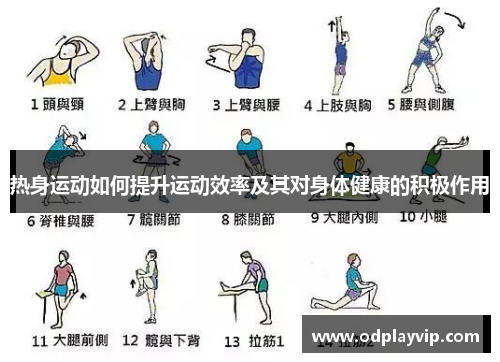 热身运动如何提升运动效率及其对身体健康的积极作用