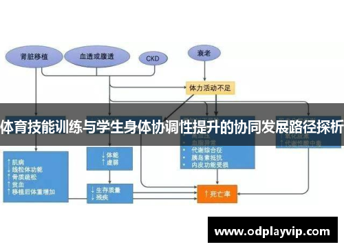 体育技能训练与学生身体协调性提升的协同发展路径探析