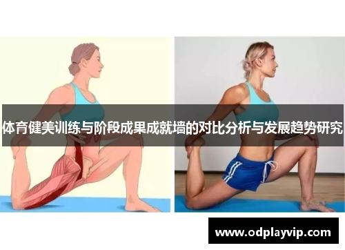 体育健美训练与阶段成果成就墙的对比分析与发展趋势研究