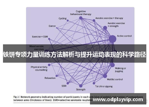 铁饼专项力量训练方法解析与提升运动表现的科学路径